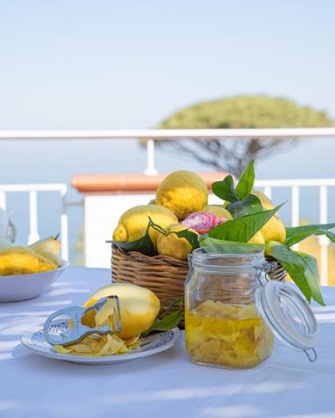 Limoncello School & Wine Tasting