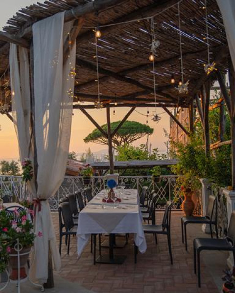 Lemon Tour & Dinner Experience